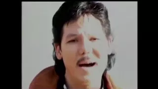 Cỏ hồng