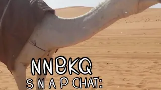 شيلة شمس هجرك فيك من وضحا يمارا بها بين الحلال فيصل الدحباش غزليه بطيء 