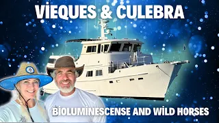 We Sailed by Night to the World’s Brightest Bioluminescent Bay (Vieques, Puerto Rico) #boatlife