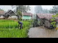 Download Lagu Seram Banget !!, Tapi Bikin Betah Hujan Deras Di Kampung Mengguyur Tasikmalaya Selatan Jawa Barat