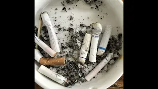 يوم ما تفارق مسرع 