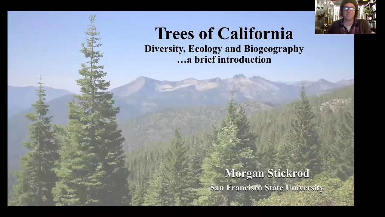 Native Trees of California - Speaker: Morgan Stickrod
