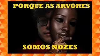 n s terror dos bons sim senhor 