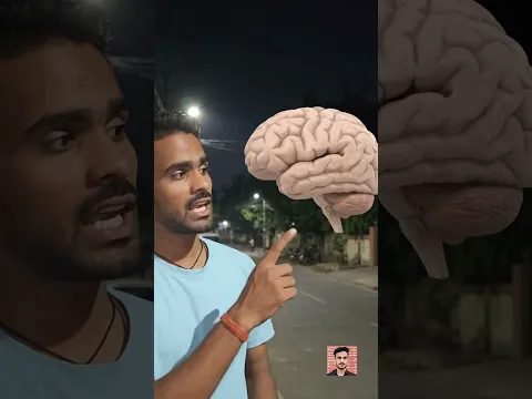 KUTTA RAT KO KYON ROTA HAI