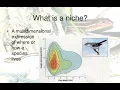 Hutchinson s Ecological Niche for Individuals