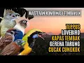 Download Lagu MASTERAN KOMBINASI MEWAH BESETAN CUNGKOK GEREJA TARUNG, TEPPUS, KAPAS TEMBAK, LOVEBIRD