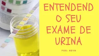 ENTENDENDO SEU EXAME DE URINA