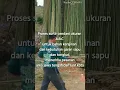 Download Lagu bambu cendani,cendani untuk segala macam kerajinan .menerima pesanan kontak Wa,085800654285