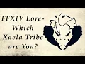 FFXIV Lore - All of the Xaela Tribes in Othard