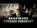 Lagu Kenapa Sains Percaya Teori Evolusi? | Arc Evolusi Eps 1: Apa Itu Evolusi