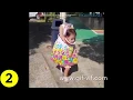 Top 5 Halloween gifs Gifs Chan