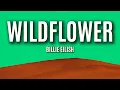 Billie Eilish - WILDFLOWER (Lyrics)