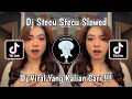 Download Lagu DJ STECU STECU SLOWED | DJ ADUH ABANG BUKAN MAKSUDKU BEGITU SLOW VIRAL TIKTOK TERBARU 2025