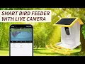 Download Lagu Smart Bird Feeder Cameras: The Future of Bird Watching