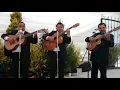 Trío Del Recuerdo "Rayito de Luna" (Jesús 'Chucho' Navarro) Capulhuac, Estado de México