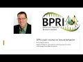 BPRI crash course on locust behavior