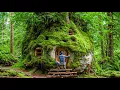 Lagu Extreme Rainforest Survival | Safe Shelter Built from Vines and Ancient Trees