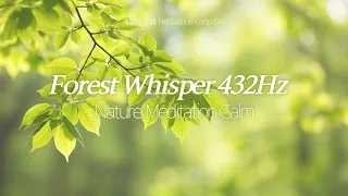 Forest Whisper 432Hz Lazy Cat Relaxation Loop 04 Nature Meditation Music For Inner Peace  Forest Whisper 432Hz Lazy Cat Relaxation Loop 04 Nature Meditation Music For Inner Peace