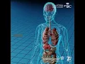 Download Lagu Abdul Latif Jameel Health \u0026 AVNeo (EN with VO 1x1)
