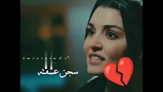 انا راضيه ابقا فراشه قتلها حب النور 
