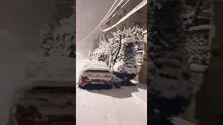 الجو في ثلج عمان    طر طريري دندنها
