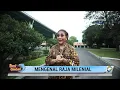 Susi Cek Ombak - Mengenal Raja Milenial