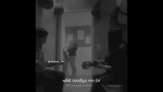 سأظل احبك ولو طال انتظاري فأن لم تكن قدري فأنت اختياري 