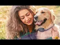 Bark Collars For Large Dogs Incredible Bark Collars on Amazon