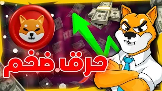 شيبا اينو الى    فى          أرتفاع حرق شيبا أينو بنسبة                 اخبار قوية ل            دندنها