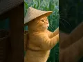Download Lagu Cornfield Adventure: A Cat's Harvest with Feathered Friends #cartoon #cartoonvideo #catlovers #3d