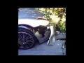 Porsche 918 spyder crash at Nikki Beach