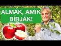Lagu Milyen almát ültess idén? 🍎🌳 Ellenálló almák, vegyszerek nélkül
