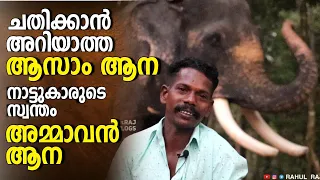 poor uncle elephant panakkal neelakandan mahout baiju about panakkal neelakandan elephant