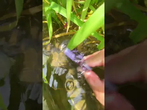 the beauty of nature - You didn't think it was that beautiful #satisfying