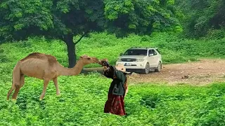 تعيش انت وتبقا اقوى مزمار يمني مبخوت اسمع وحكم حصري  تعيش انت وتبقا اقوى مزمار يمني مبخوت اسمع وحكم حصري