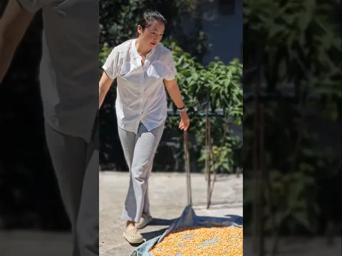 Mom drys her corn