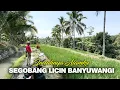 Lagu Indahnya Alamku - Segobang Licin Banyuwangi