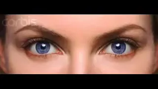 هذوك لعينين عليك يا سارة 