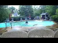 Large bear takes a dip in Sparta NJ