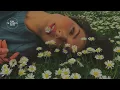 Zedd - Lucky (ft. Remi Wolf) (Lyrics)