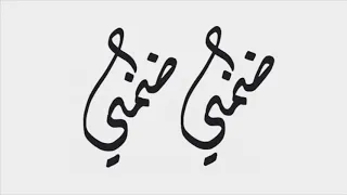 اغاني عراقية 2019 ضمني ضمني محمود التركي بطيء 