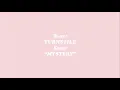 Download Lagu TURNSTILE - MYSTERY (Audio)