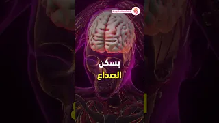 فوائد الاستحمام بالماء البارد في الشتاء فوائد الاستحمام الشتاء 