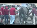 It was a gray exacta with Smallchangegeep apprentice jockey Bryan Torres getting the win