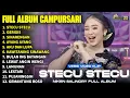 Download Lagu Album Niken Salindry || STECU STECU - GERIGIS - SINARENGAN - LAGU TRENDING FULL ALBUM TERBARU 2025