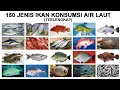 Download Lagu 150 JENIS IKAN LAUT YANG BISA DIMAKAN |  MACAM IKAN KONSUMSI AIR LAUT
