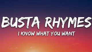 busta rhymes mariah carey i know what you want lyrics ft flipmode squad