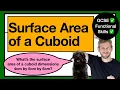 SURFACE AREA Calculating the Surface Area of a Cuboid - Explained Fully