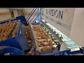 Lagu Sortieren von ungewaschenen Kartoffeln mit der U-Vision.