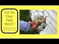 Did the eBay Eggs Hatch